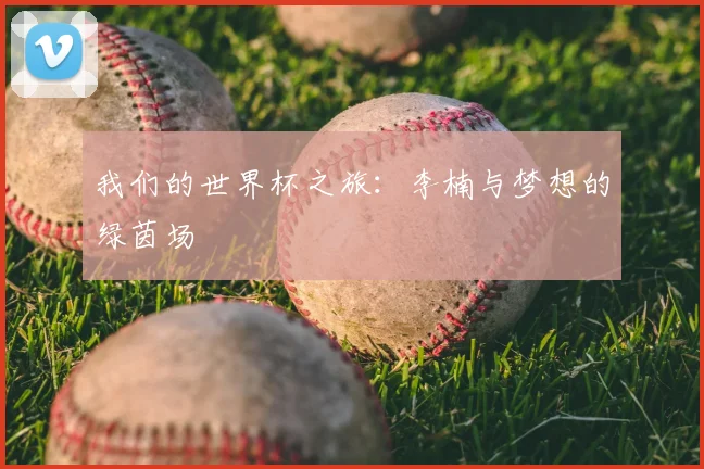 我们的世界杯之旅：李楠与梦想的绿茵场