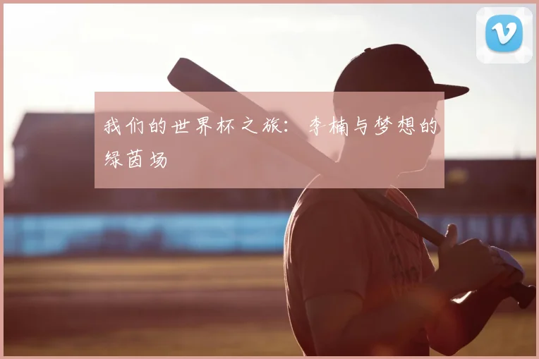 我们的世界杯之旅：李楠与梦想的绿茵场