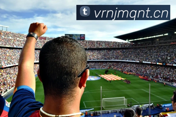 App Interface Preview